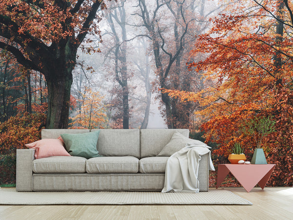 Natural Design Non-Woven Wallpaper Mural For Living Room, Bedroom, Office "Autumn Forest In Shimmering Orange Leaves"