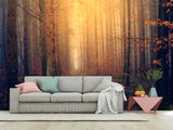 Modern Self-Adhesive Wallpaper "Autumn Forest" — Art Print for Office, Study, and Living Room