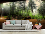 Non-Woven Mural Wallpaper Mural For Home, Office, Or Apartment Interior Decor - Art Cave View Of A Foggy Forest