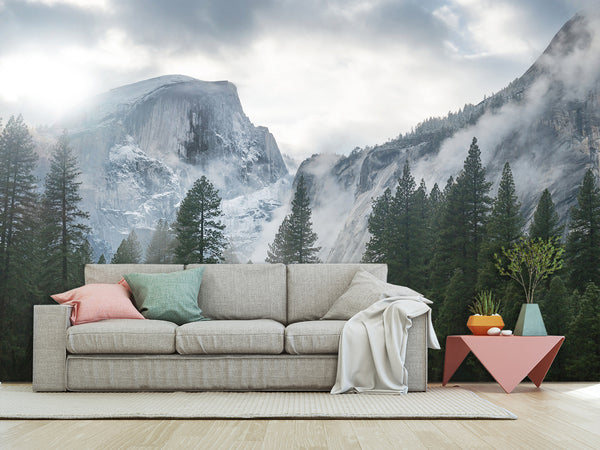 Incredible Traditional Mural for Living Room, Office, Reception "Winter Mountain Landscape"