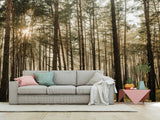 🌲Natural Print Self-Adhesive Wall Murals "Forest With Sun Rays", Photo Wallpaper For Home Decoration🌲