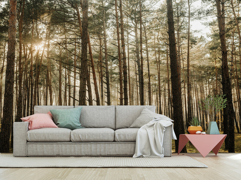 🌲Natural Print Self-Adhesive Wall Murals "Forest With Sun Rays", Photo Wallpaper For Home Decoration🌲