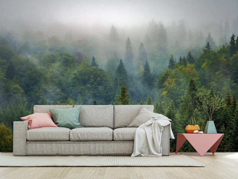 Peel and Stick 3d photo wallpaper Misty Forest Wallpaper – Foggy Woods Wall Mural for Nature-Inspired Interior Decor