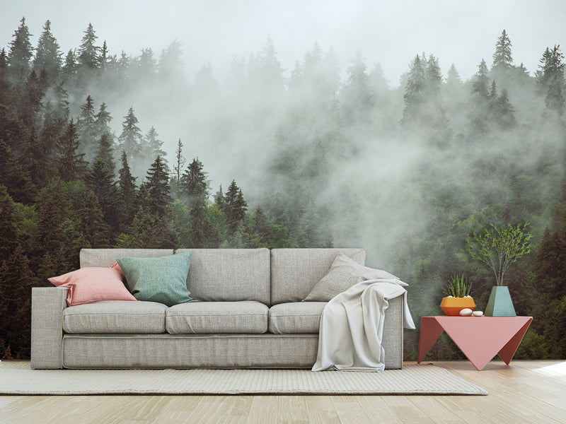 Non-Woven Nature Print Wall Mural for Office, Living Room, "Forest in Mist" Wall Art