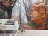 Natural Design Non-Woven Wallpaper Mural For Living Room, Bedroom, Office "Autumn Forest In Shimmering Orange Leaves"