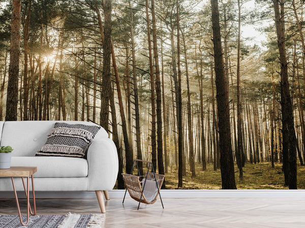 🌲Natural Print Self-Adhesive Wall Murals "Forest With Sun Rays", Photo Wallpaper For Home Decoration🌲