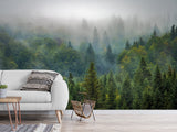 Peel and Stick 3d photo wallpaper Misty Forest Wallpaper – Foggy Woods Wall Mural for Nature-Inspired Interior Decor