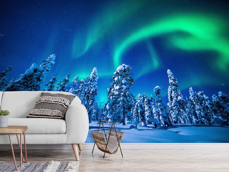 Non-Woven Full Wall Mural Wallpaper Northern Lights in a Winter Forest For Lounge Area, Bedroom, Or Reception