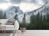 Incredible Traditional Mural for Living Room, Office, Reception "Winter Mountain Landscape"