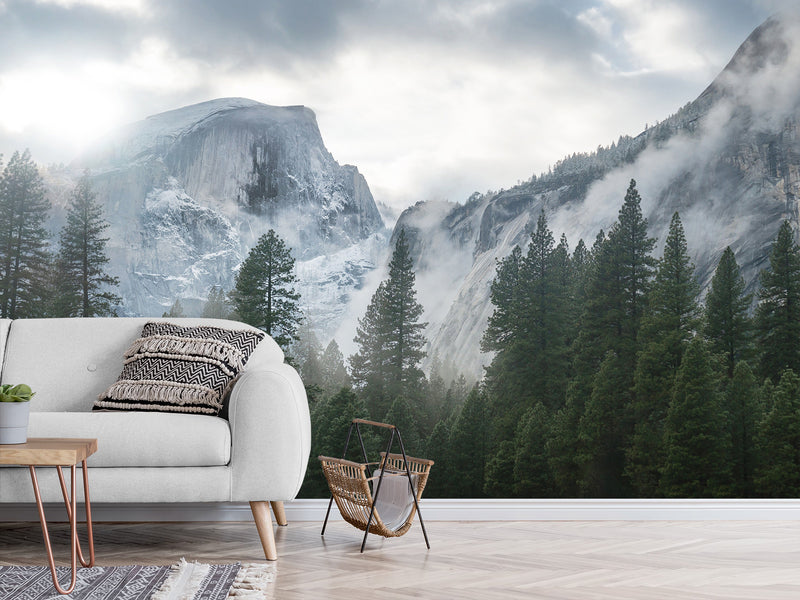 Incredible Traditional Mural for Living Room, Office, Reception "Winter Mountain Landscape"