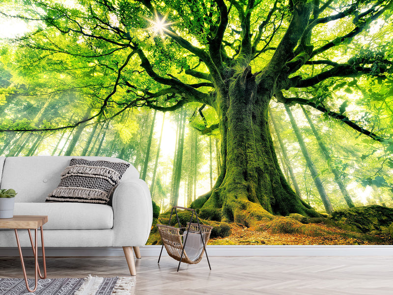 Modern Non-Woven Wallpaper "Tree of Life" — Art Design for a Cozy Living Room or Bedroom