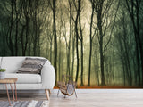 Peel & Stick Mural For  Office, Living Room & Bedroom - Forest Thicket Print