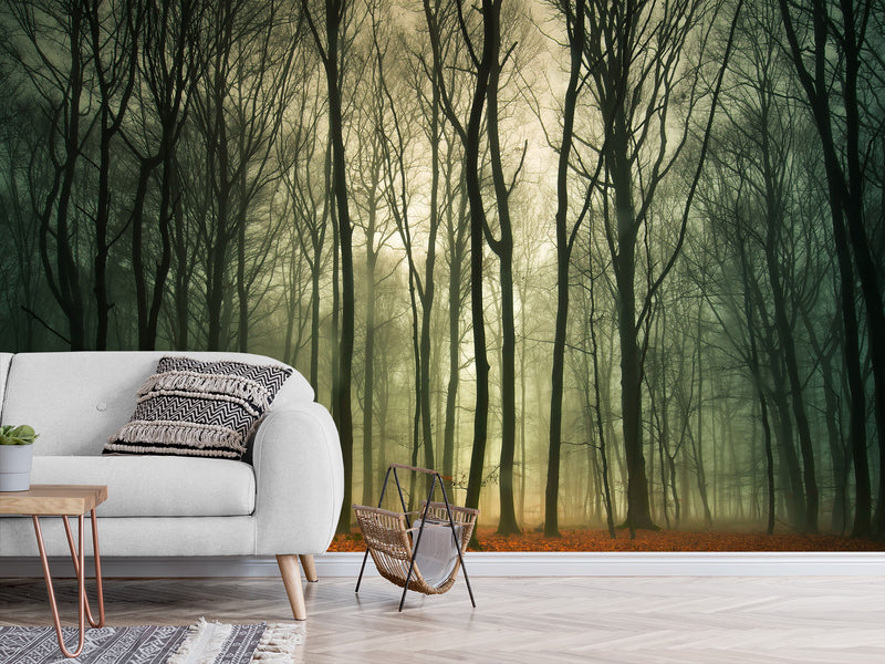 Peel & Stick Mural For  Office, Living Room & Bedroom - Forest Thicket Print