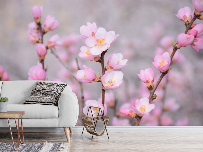 Peel and Stick Oracal film for bedroom, hall, kitchen decor “Sakura flowers”