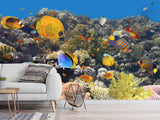 Nature Print Self-Adhesive Wallpaper "Fascinating Underwater World" – For School, Teen Room, Office 🌊