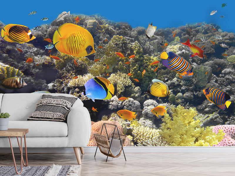 Nature Print Self-Adhesive Wallpaper "Fascinating Underwater World" – For School, Teen Room, Office 🌊