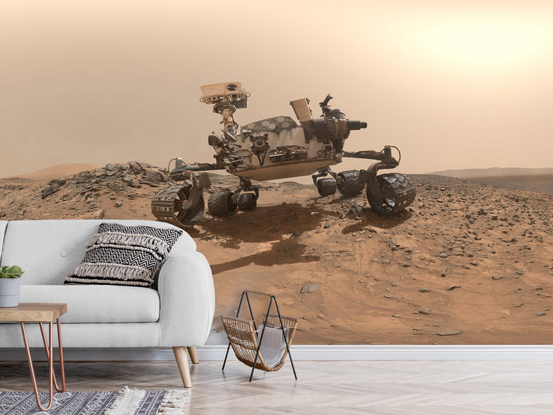 Peel & Stick Vinyl Wallpaper Space Design for Living Room or Office Print Mars Rover Wall Mural