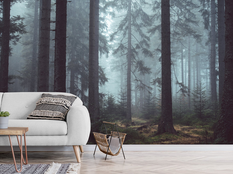 Stylish Wallpaper with Natural Print, Wall Mural for Home 'Forest in the Mist', Non-Woven Wall Mural with Design