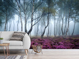 Peel and Stick Wallpaper with Fast Production for Bedroom & Living Room - Misty Birch Forest