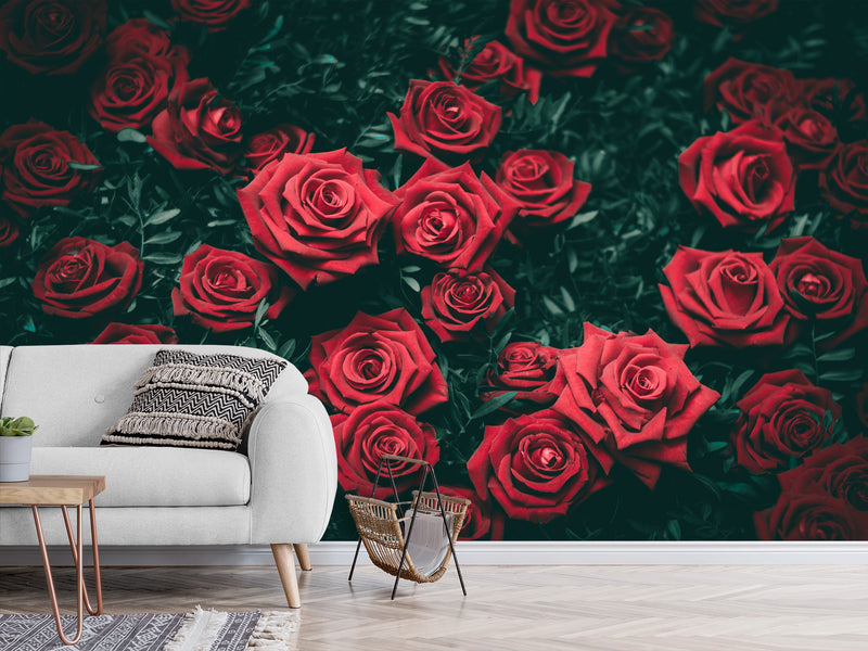 3D Non-Woven Wall Mural Natural Print Design For Bedroom, Living Room Photo Wallpaper "Red Roses"