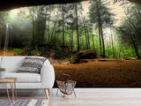 Non-Woven Mural Wallpaper Mural For Home, Office, Or Apartment Interior Decor - Art Cave View Of A Foggy Forest