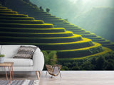 Non-Woven Photo Wallpaper Print For Living Room Or Bedroom "Asian Landscape" Creating Calmness At Home