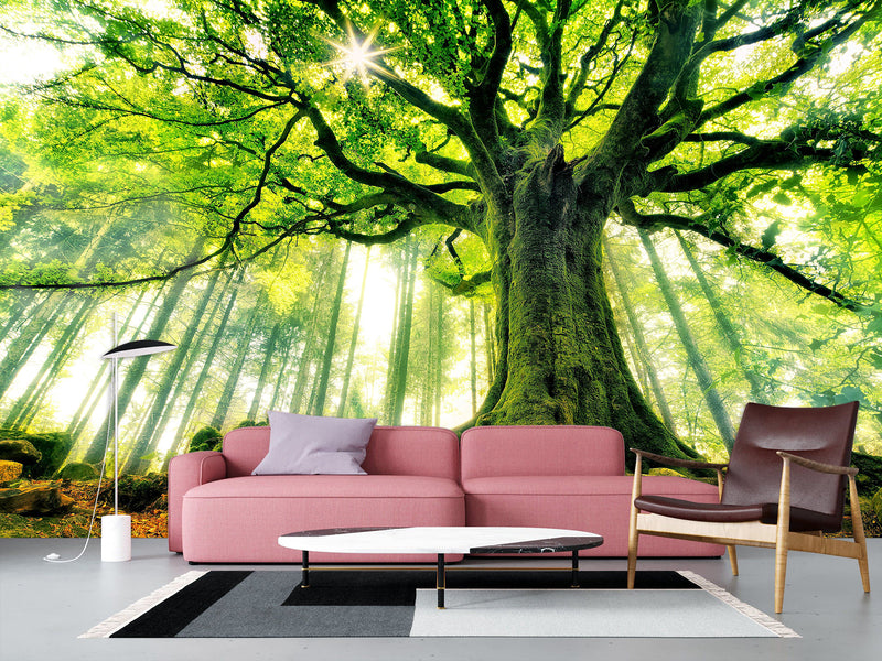 Modern Non-Woven Wallpaper "Tree of Life" — Art Design for a Cozy Living Room or Bedroom