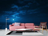 Non-Woven Mural Full Wall for Bedroom & Kitchen Print Moonlit Ocean at Night