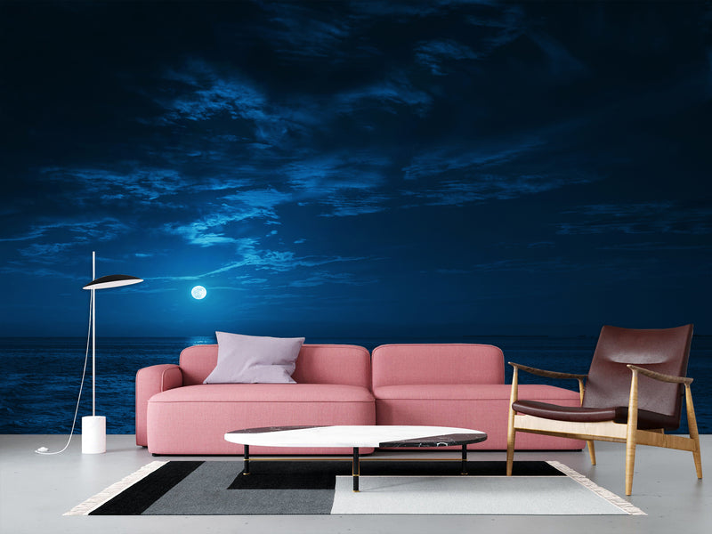 Non-Woven Mural Full Wall for Bedroom & Kitchen Print Moonlit Ocean at Night