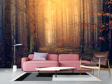 Modern Self-Adhesive Wallpaper "Autumn Forest" — Art Print for Office, Study, and Living Room