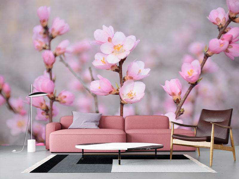 Peel and Stick Oracal film for bedroom, hall, kitchen decor “Sakura flowers”