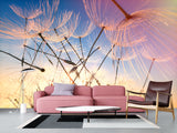 Peel & Stick Mural For Full Wall Photo Wallpaper – Dandelion in the Wind | Home Wall Desing