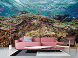 3D Non-Woven Wall Mural With Marine Print – “School Of Fish Among Corals” For Office & Room Desing
