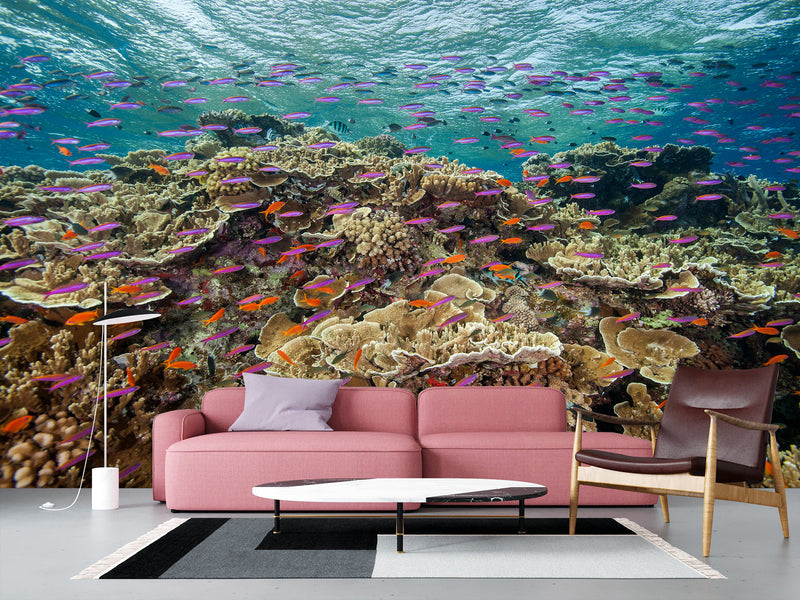 3D Non-Woven Wall Mural With Marine Print – “School Of Fish Among Corals” For Office & Room Desing