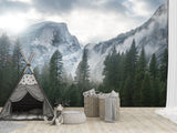 Incredible Traditional Mural for Living Room, Office, Reception "Winter Mountain Landscape"