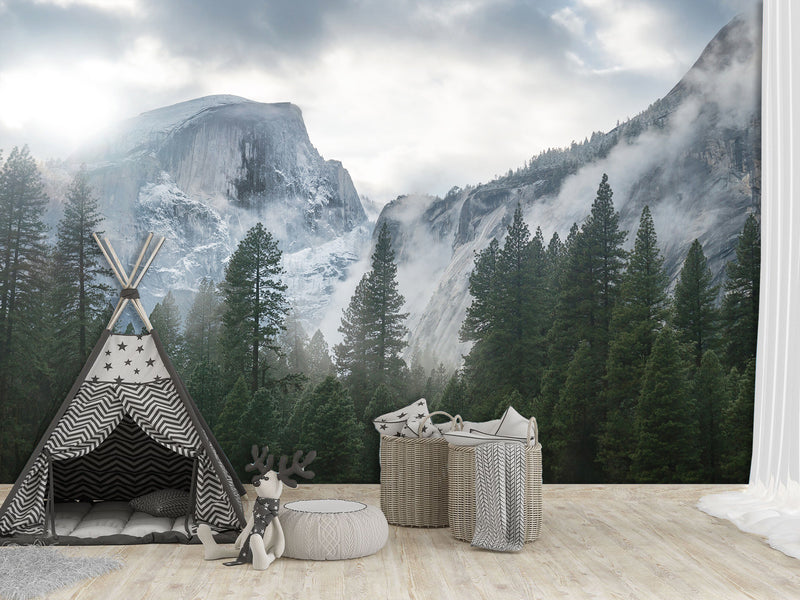 Incredible Traditional Mural for Living Room, Office, Reception "Winter Mountain Landscape"