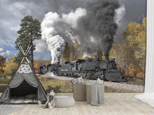 Peel and Stick Full Wall Mural Print For Living Room, Bedroom, Workspace "Train" Combination Of Technology And Nature