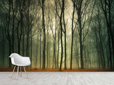 Peel & Stick Mural For  Office, Living Room & Bedroom - Forest Thicket Print