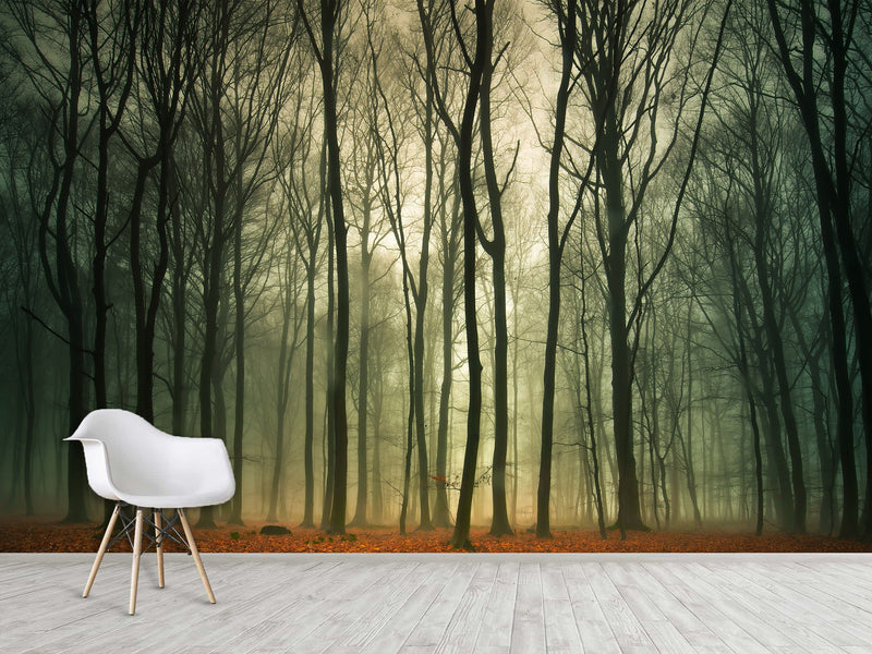 Peel & Stick Mural For  Office, Living Room & Bedroom - Forest Thicket Print