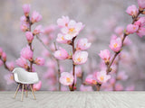 Peel and Stick Oracal film for bedroom, hall, kitchen decor “Sakura flowers”