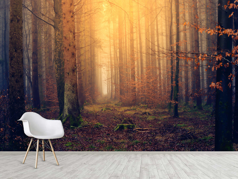 Modern Self-Adhesive Wallpaper "Autumn Forest" — Art Print for Office, Study, and Living Room