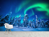 Non-Woven Full Wall Mural Wallpaper Northern Lights in a Winter Forest For Lounge Area, Bedroom, Or Reception