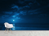 Non-Woven Mural Full Wall for Bedroom & Kitchen Print Moonlit Ocean at Night