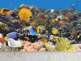 Nature Print Self-Adhesive Wallpaper "Fascinating Underwater World" – For School, Teen Room, Office 🌊