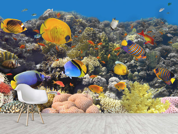Nature Print Self-Adhesive Wallpaper "Fascinating Underwater World" – For School, Teen Room, Office 🌊