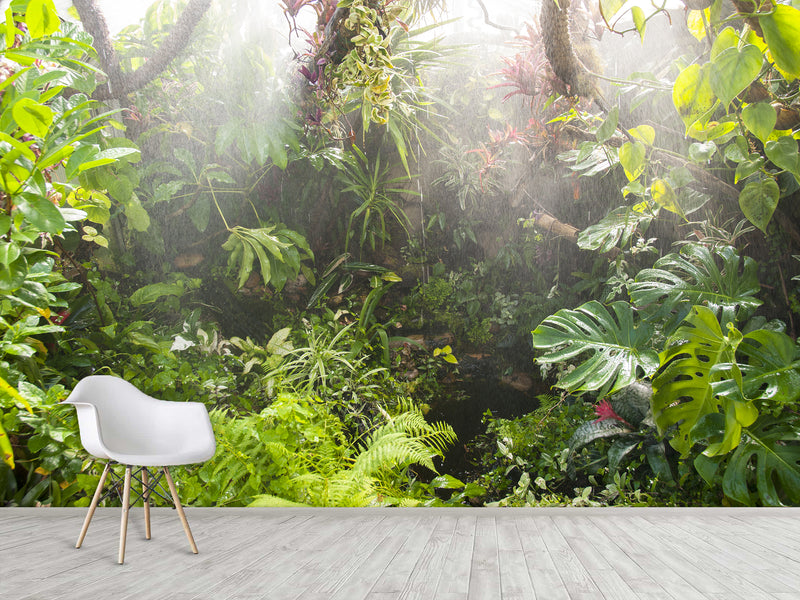 Self-Adhesive Wallpaper – Custom Design for Lounge Area, "Greenhouse by Egon Zitter"