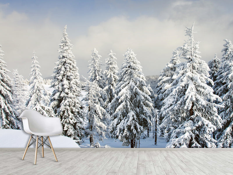 Non-Woven Wallpaper For Living Room and Bedroom Winter Forest Wall Mural Print