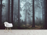 Stylish Wallpaper with Natural Print, Wall Mural for Home 'Forest in the Mist', Non-Woven Wall Mural with Design