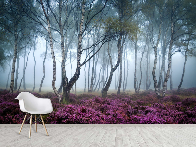 Peel and Stick Wallpaper with Fast Production for Bedroom & Living Room - Misty Birch Forest
