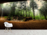 Non-Woven Mural Wallpaper Mural For Home, Office, Or Apartment Interior Decor - Art Cave View Of A Foggy Forest